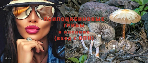 крисы Белоозёрский