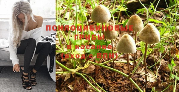 крисы Белоозёрский
