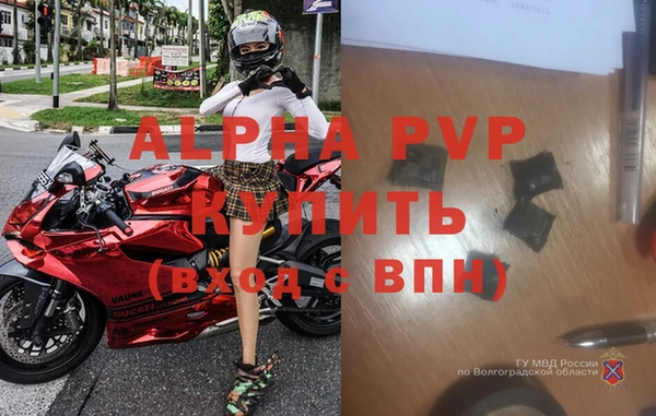 крисы Белоозёрский